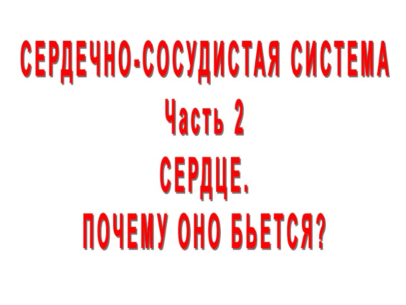 СЕРДЕЧНО-СОСУДИСТАЯ СИСТЕМА Часть 2 СЕРДЦЕ. ПОЧЕМУ ОНО БЬЕТСЯ?